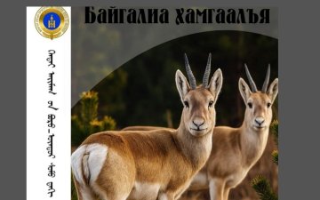 ХУУЛЬ БУСААР АН АГНАХ ГЭМТ ХЭРГЭЭС УРЬДЧИЛАН СЭРГИЙЛЬЕ!