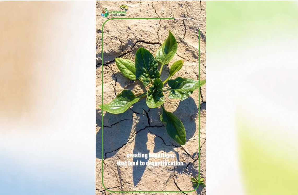 PROTECTING PLANTS MEANS PROTECTING OUR LAND