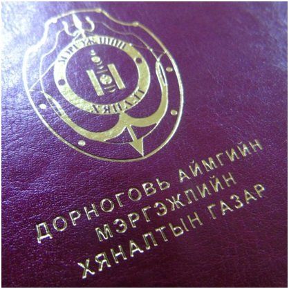 МЭРГЭЖЛИЙН ХЯНАЛТЫН ГАЗРЫН УЛСЫН БАЙЦААГЧ НАРЫН ЗАХИРГААНЫ ЗӨРЧЛИЙН ХЭРЭГ БҮРТГЭХ АЖИЛЛАГААГ ШАЛГАЖЭЭ