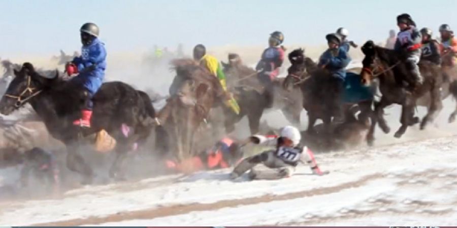 ХУРДАН МОРИНЫ УНААЧ ХҮҮХДИЙН АМЬ НАС ХОХИРСОН ХЭРГИЙГ ШИЙДВЭРЛЭЖЭЭ