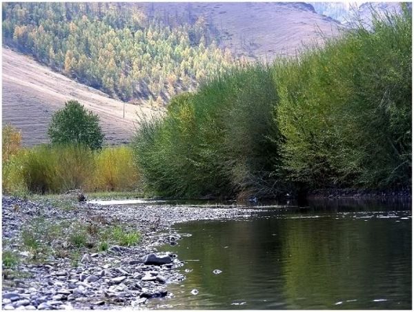 БАЙГАЛЬ ОРЧИНД УЧРУУЛСАН ХОХИРЛЫГ  НАРИЙВЧЛАН ТОГТООЛГОХООР ХЭРГИЙГ СЭРГЭЭВ