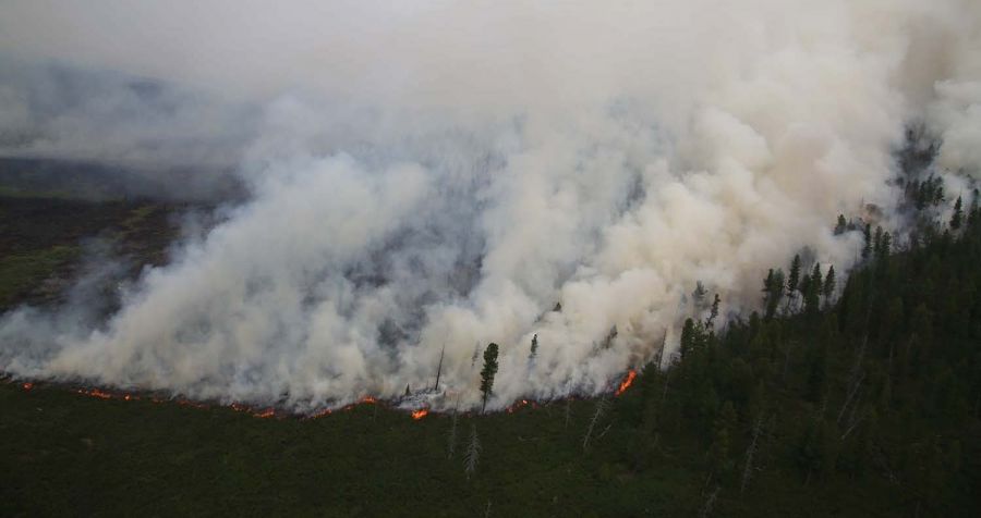 ГАЛТАЙ БОЛГООМЖГҮЙ ХАРЬЦСАНЫ УЛМААС  363 САЯ ТӨГРӨГИЙН ХОХИРОЛ УЧРУУЛЖЭЭ